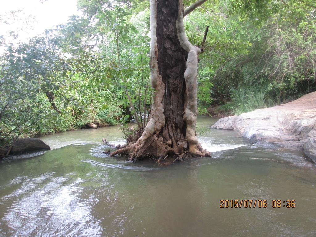 Sigiriya River Side Resort Ngoại thất bức ảnh