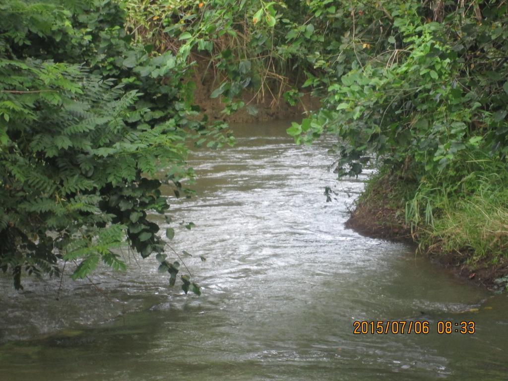 Riverside Lal Homestay Sigiriya Ngoại thất bức ảnh