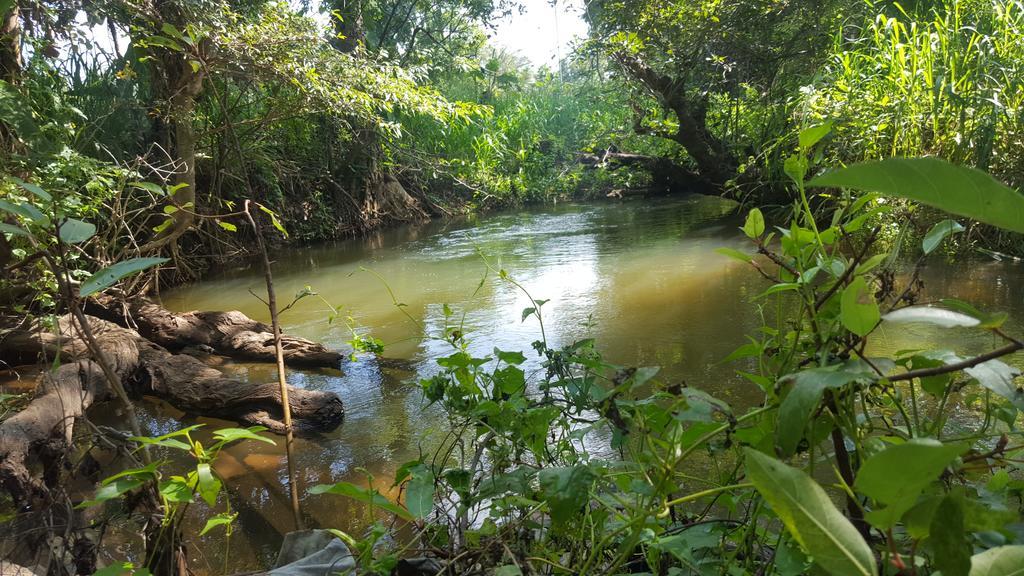 Sigiriya River Side Resort Ngoại thất bức ảnh