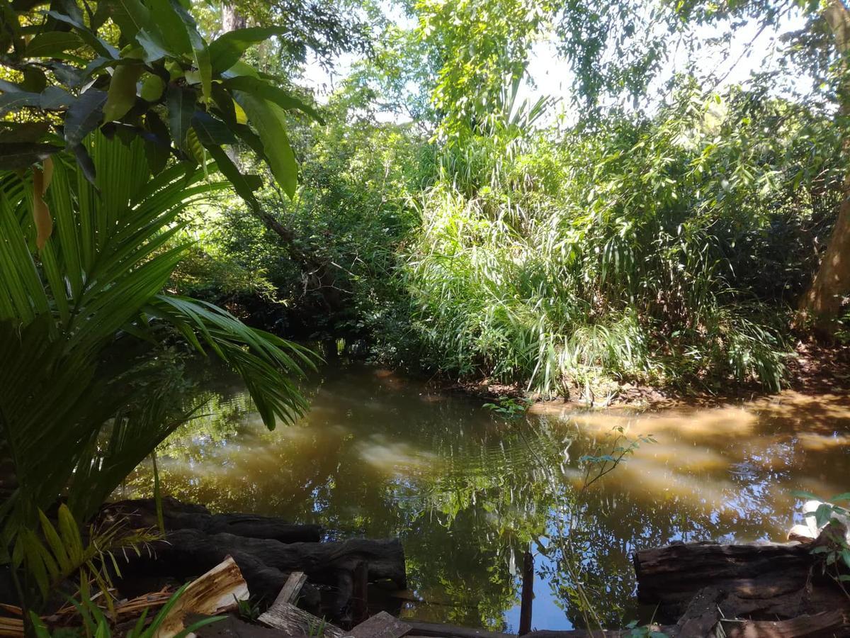 Sigiriya River Side Resort Ngoại thất bức ảnh
